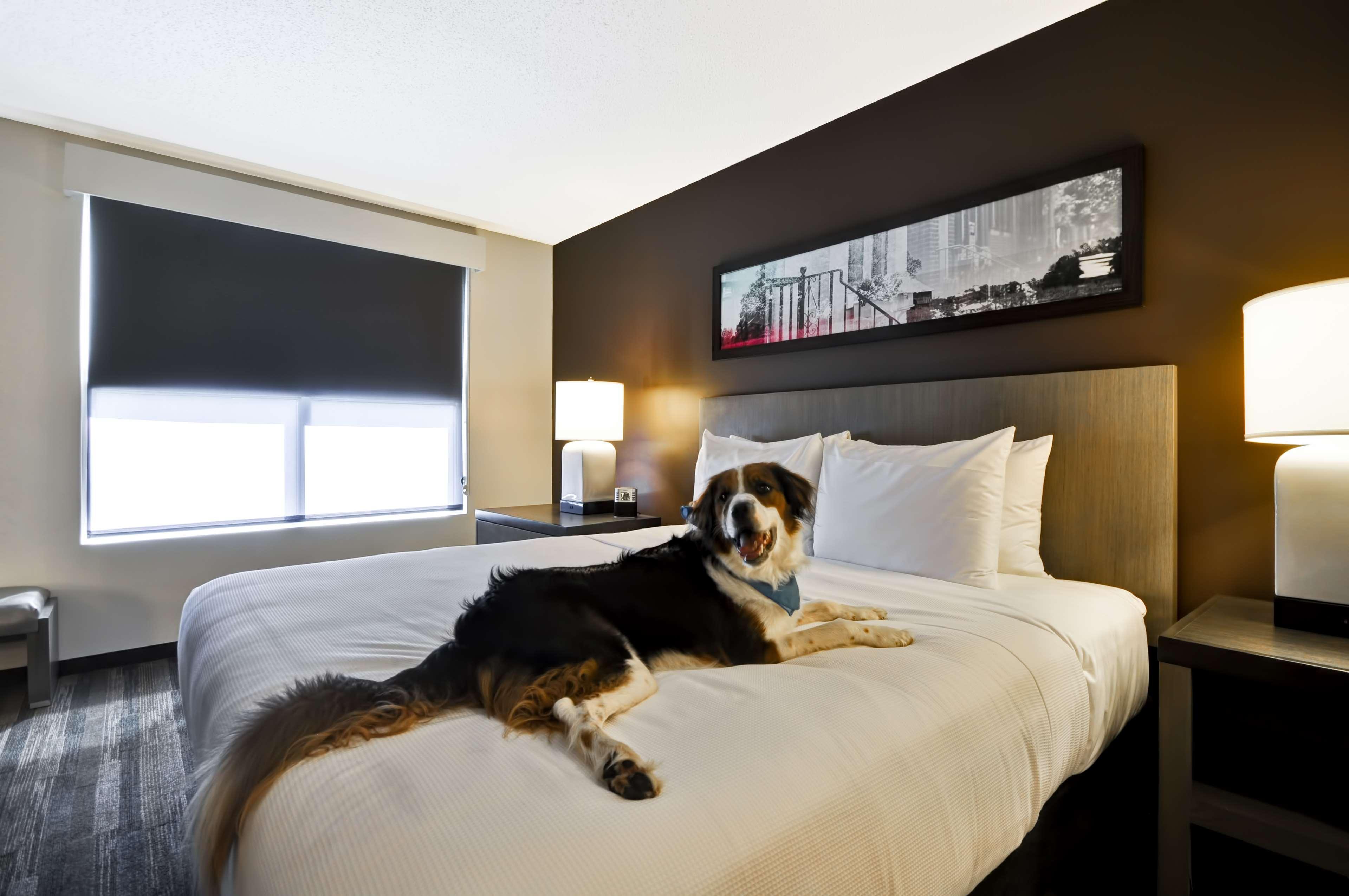 Hyatt House Atlanta Cobb Galleria Smyrna Exteriér fotografie