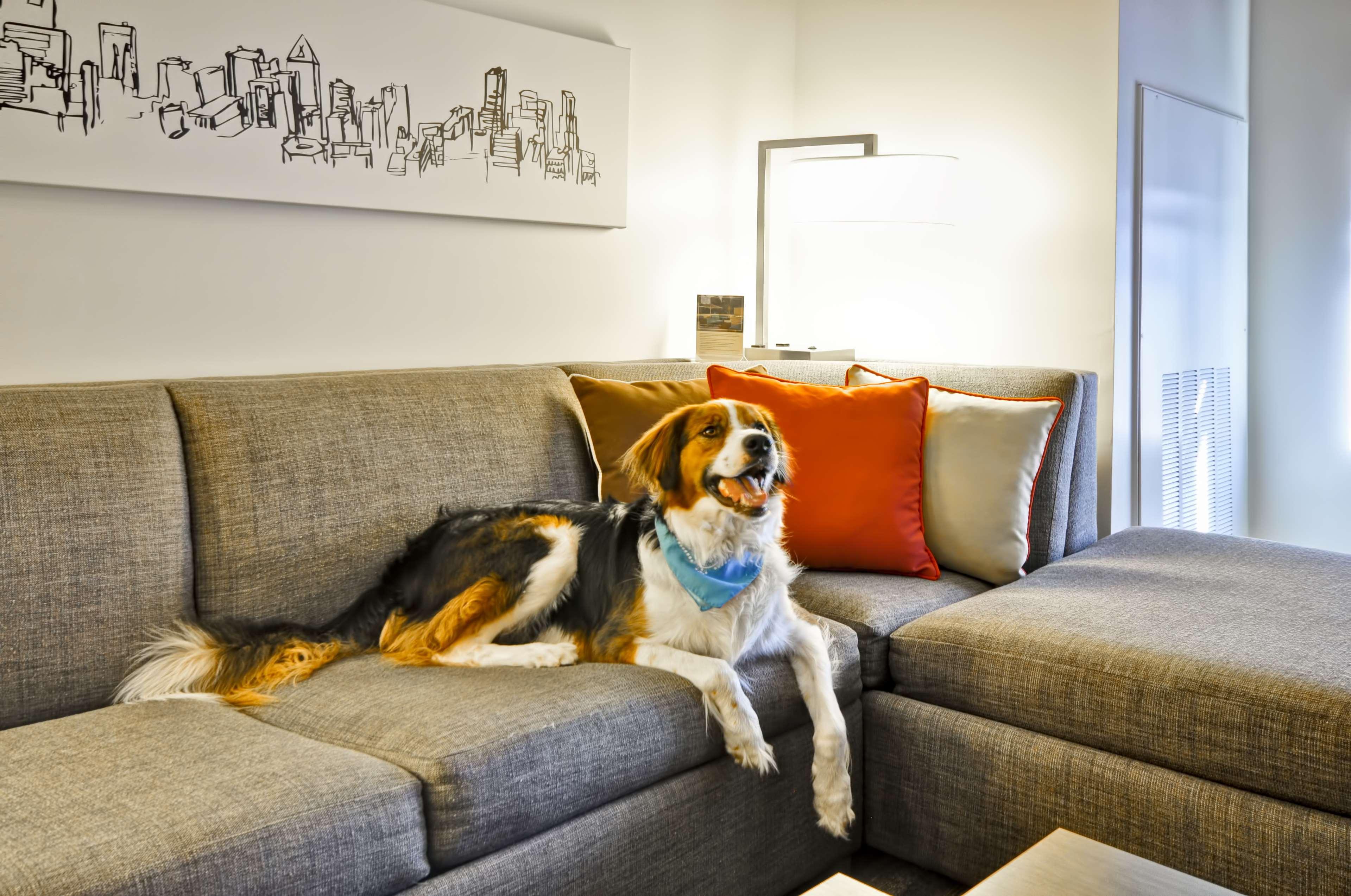 Hyatt House Atlanta Cobb Galleria Smyrna Exteriér fotografie