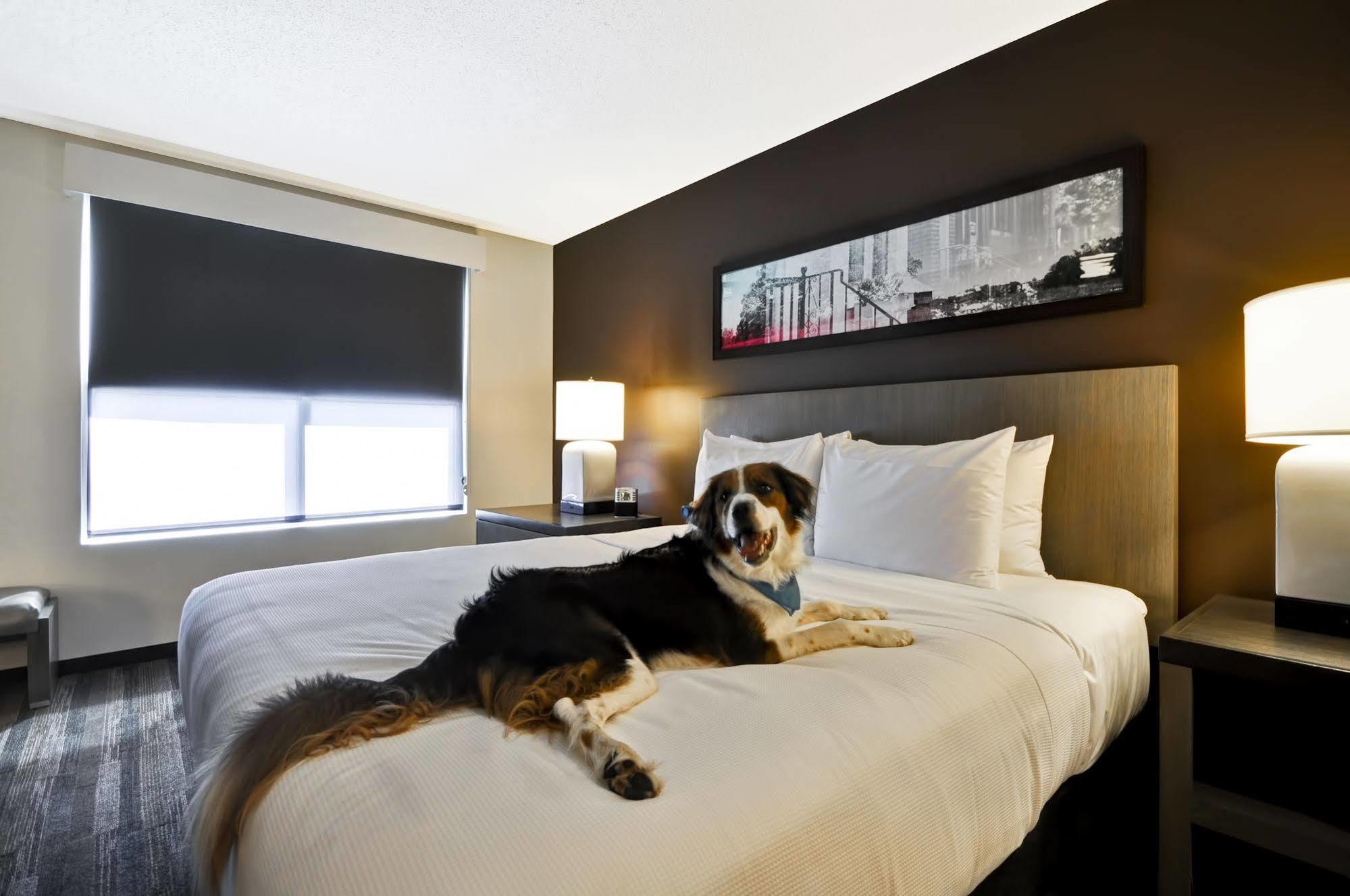 Hyatt House Atlanta Cobb Galleria Smyrna Exteriér fotografie